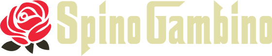 Spinogambino Casino Review Logo