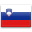 Slovenia Flag